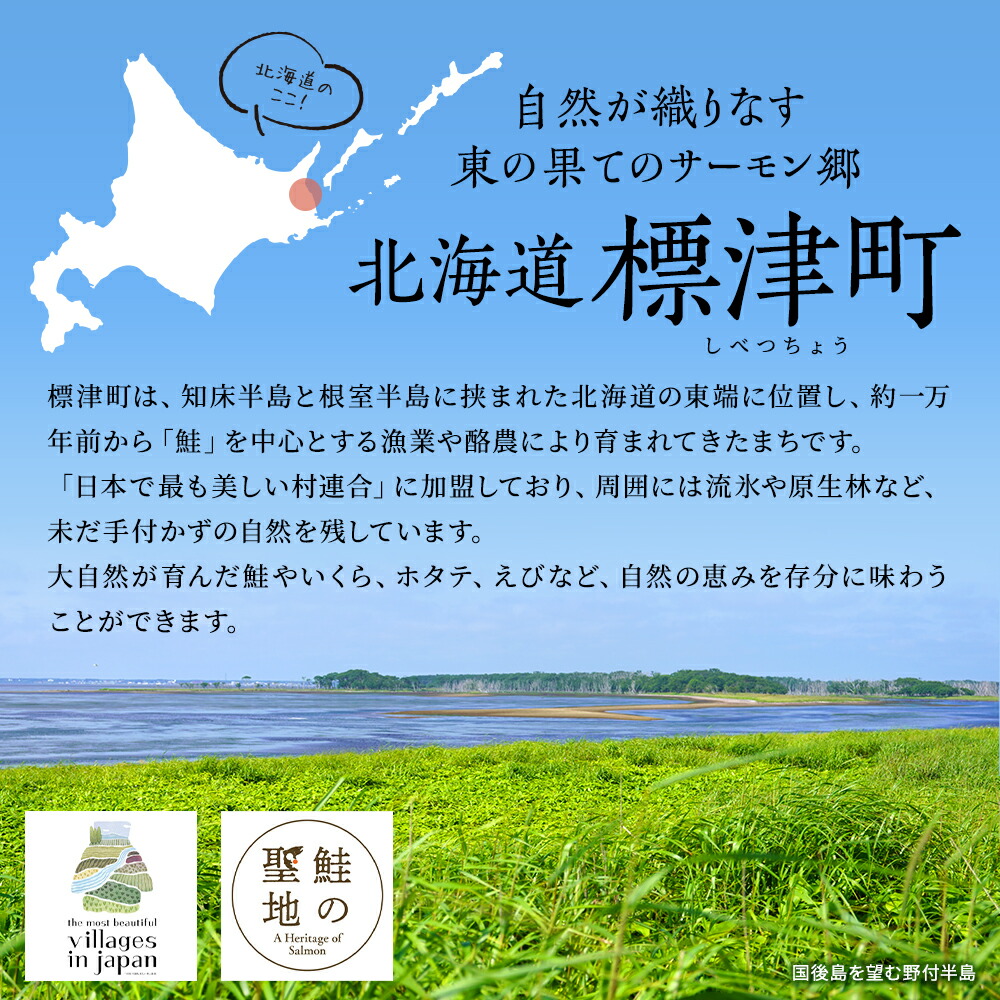 マ印 北海道産 にしん 一夜干し  ( 約120ｇ×3枚 ) × 3袋 無添加 国産 塩のみ 素材 冷凍 干物 朝食 夕食 夜食 おつまみ 酒 お酒 つまみ 肴 魚 素材の味 安心 本場 乾物 ひもの