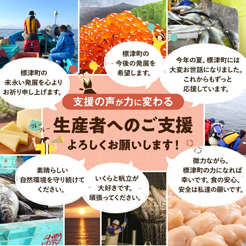【毎月定期便】鮭冬葉 60g × 3袋 全3～6回 国産 鮭とば スライス 北海道産 定期便 おつまみ 人気 そのまま すぐ食べれる 鮭トバ 鮭トバ 便利 簡単 つまみ 毎月 珍味 さけとば