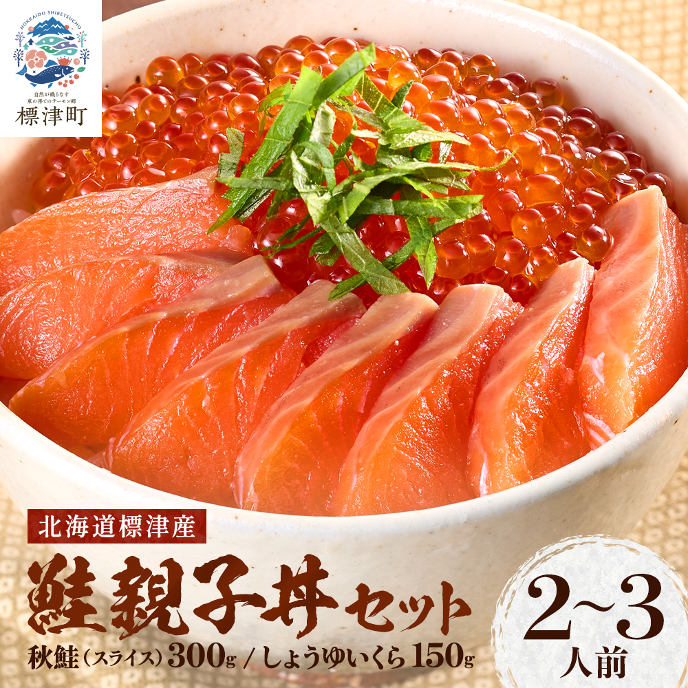 【 令和8年 新物 】【スピード配送】いくら サーモン 親子丼 セット 2~3人前 北海道産 天然 小分け 便利 さけ しょうゆづけ 醤油いくら しょうゆいくら いくら醤油漬け 北海道 標津町