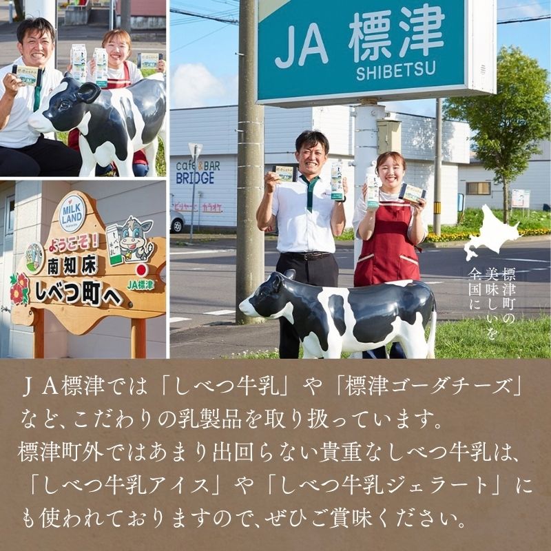 【ご当地パッケージ】 雪印北海道 さけるチーズ プレーン 選べる 6個~24個 まとめ買い 人気 さけチー 北海道産 おやつ おつまみ お弁当 子供  大人買い ご当地パッケージ 限定 北海道 標津町