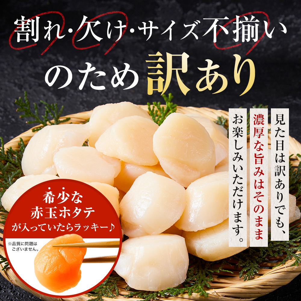 【容量選択可】北海道産 訳あり不揃いホタテ450g/ 900g/1350g/1800g 貝柱 刺身 小分け 海鮮 知床 羅臼 人気