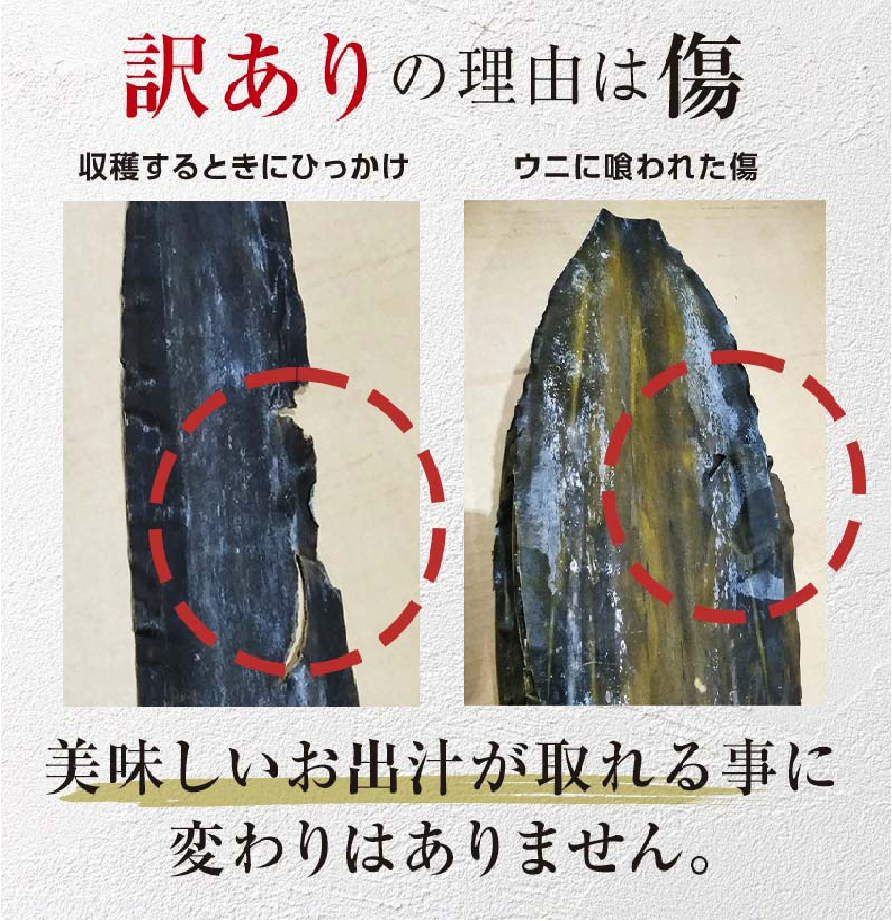 羅臼昆布 訳あり 天然 花折 400g前後(2枚入り×3パック) 北海道 知床 羅臼産 だし用 高級昆布 家庭用