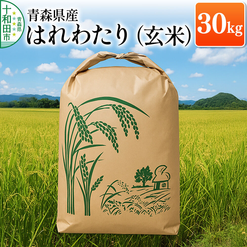 玄米 青森県産はれわたり 30kg×1袋【令和7年産】 [お米 30kg 30キロ]