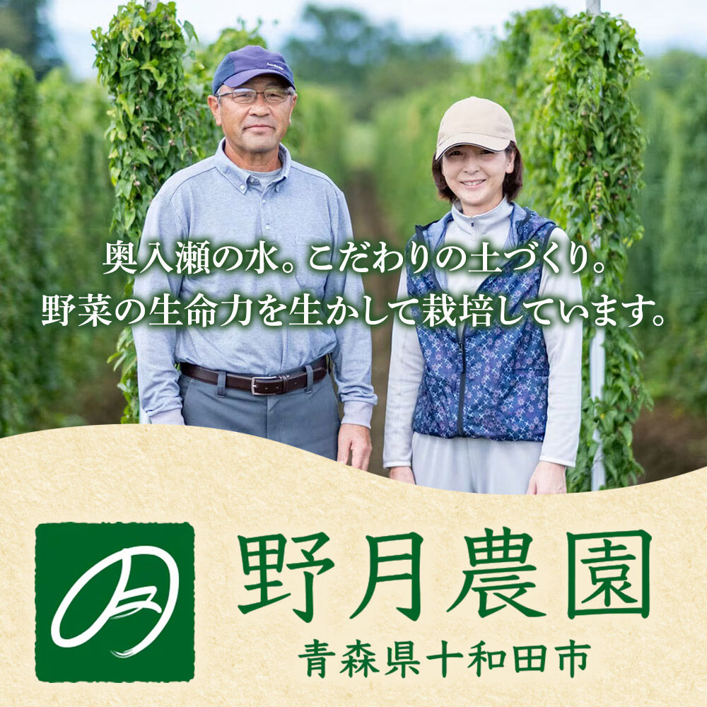 刻みにんにくのオリーブオイル漬け「野の力」2種セット（オリジナル・ごぼうブレンド） 十和田市産にんにく使用 [ガーリック オリーブオイル 青森] |26_ndk-010101