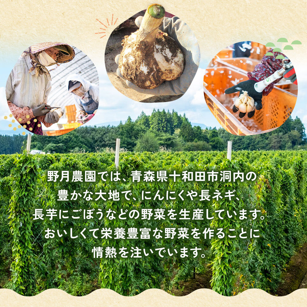刻みにんにくのオリーブオイル漬け「野の力」2種セット（オリジナル・ごぼうブレンド） 十和田市産にんにく使用 [ガーリック オリーブオイル 青森] |26_ndk-010101