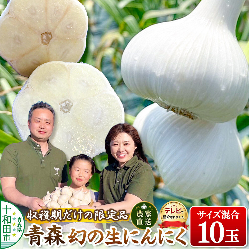 【2027年収穫分】先行受付【テレビ紹介】青森 幻の生にんにく10玉（農家直送・収穫期だけの限定品） 青森にんにくファーム [稀少 ニンニク 今が旬 直送]