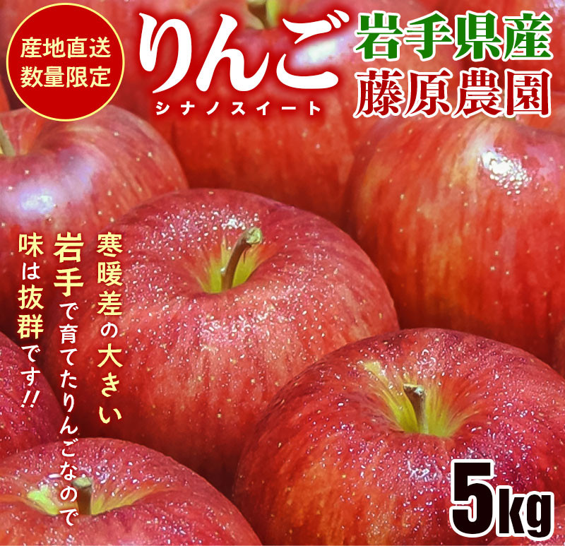 先行予約 シナノスイート 5kg 14玉~20玉 《2026年10月中旬~発送》 りんご アップル リンゴ 藤原農園のりんご  果物 季節 旬 贈答 プレゼント おすそ分け treis003