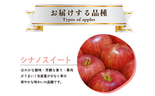 先行予約 シナノスイート 5kg 14玉~20玉 《2026年10月中旬~発送》 りんご アップル リンゴ 藤原農園のりんご  果物 季節 旬 贈答 プレゼント おすそ分け treis003