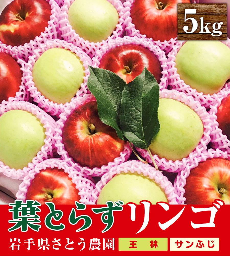 先行予約 葉とらずりんご 王林 サンふじ 5kg 14~20玉 りんご 季節限定 ミックス リンゴ 林檎 産地直送 アップル くだもの 果物 フルーツ ふじ おうりん 旬 盛岡りんご treis006