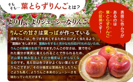 先行予約 葉とらずりんご 王林 サンふじ 5kg 14~20玉 りんご 季節限定 ミックス リンゴ 林檎 産地直送 アップル くだもの 果物 フルーツ ふじ おうりん 旬 盛岡りんご treis006