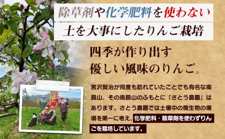 先行予約 葉とらずりんご 王林 サンふじ 5kg 14~20玉 りんご 季節限定 ミックス リンゴ 林檎 産地直送 アップル くだもの 果物 フルーツ ふじ おうりん 旬 盛岡りんご treis006