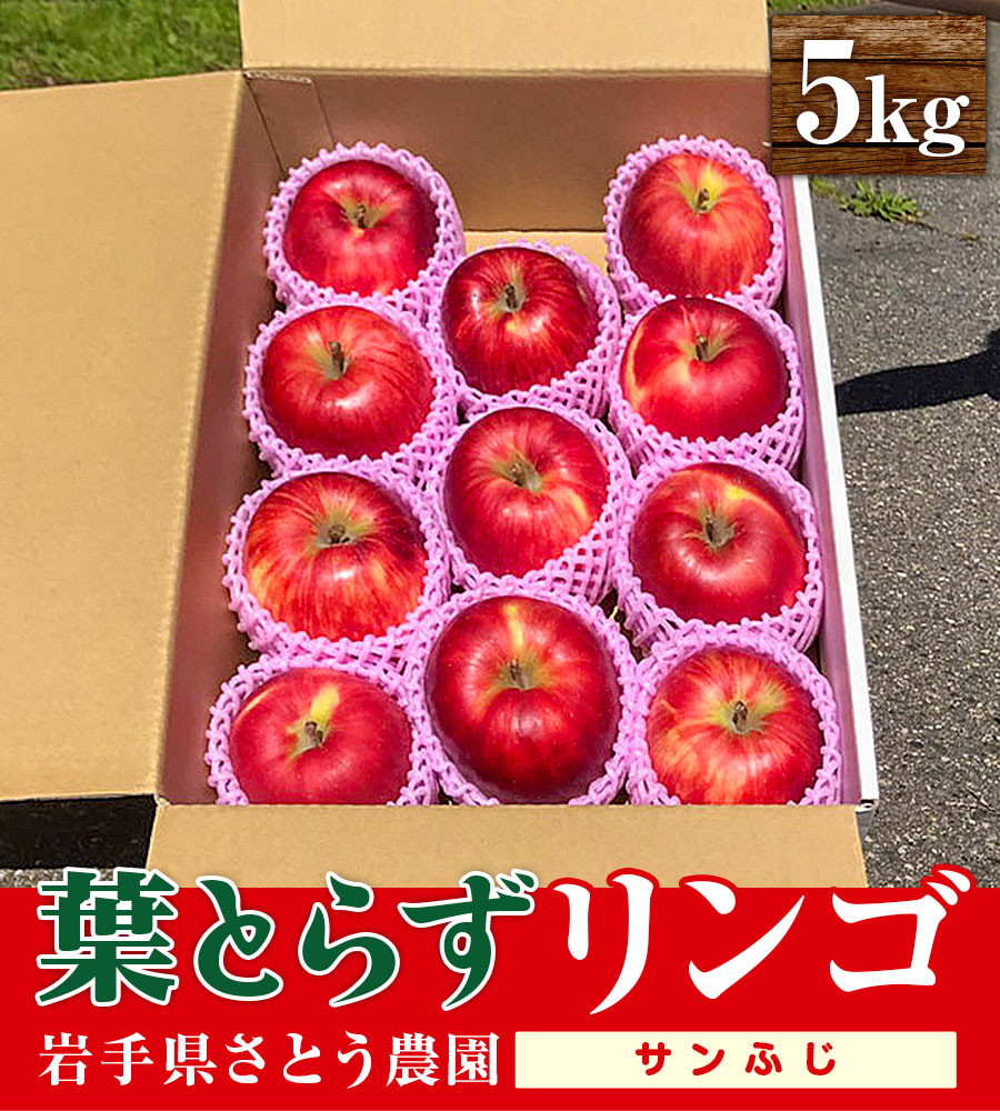 先行予約 葉とらずりんご サンふじ 5kg りんご 季節限定 リンゴ 林檎 産地直送 新鮮 アップル くだもの 果物 フルーツ ふじ おうりん 旬 盛岡りんご 旬のりんご 甘い treis007