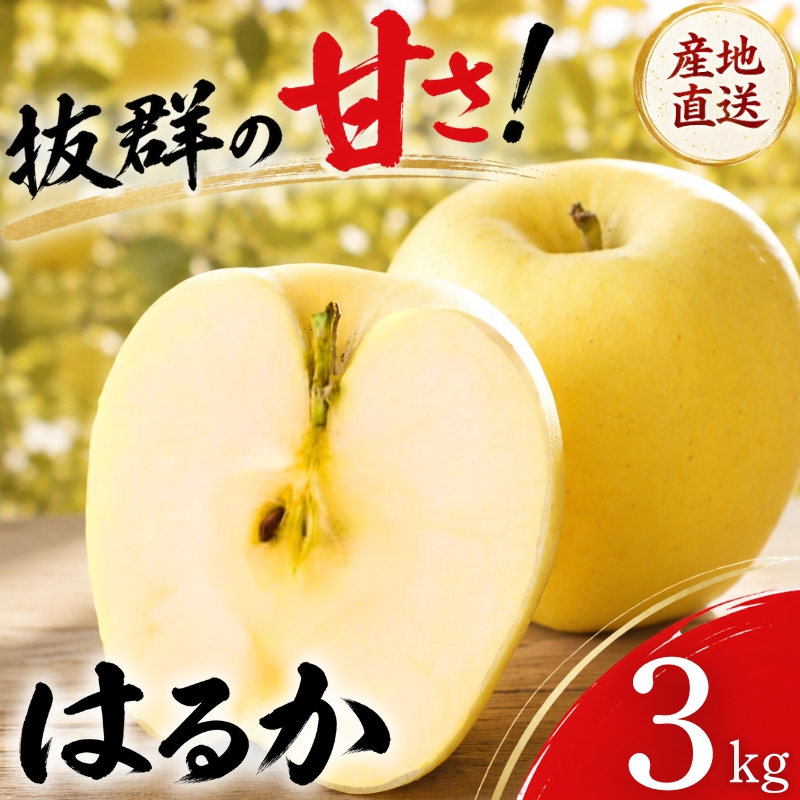 【期間限定】 りんご はるか 3kg 12月上旬~発送 訳あり 先行予約 りんご リンゴ ringo はるか 林檎 わけあり 家庭用 産地直送 新鮮 アップル くだもの fujimura007