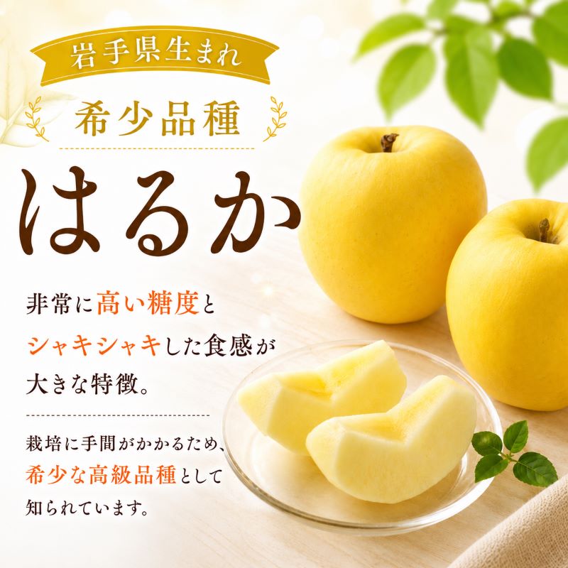 【12月上旬~発送】 贈答用 りんご はるか 3kg 先行予約 りんご リンゴ ringo りんご 林檎 産地直送 新鮮 アップル くだもの 果物 フルーツ ハルカ りんご 旬 fujimura009