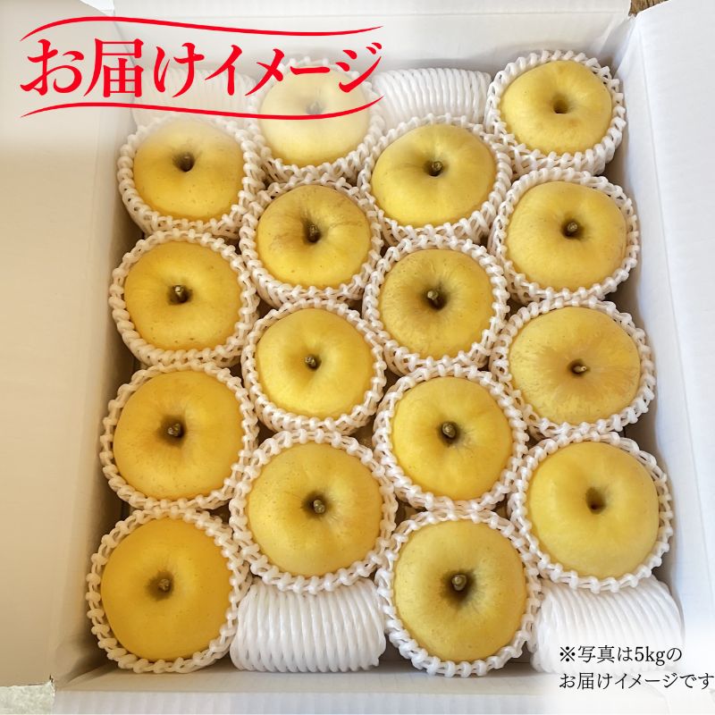 【期間限定】 りんご はるか 5kg 12月上旬~発送 訳あり 先行予約 りんご リンゴ ringo はるか 林檎 わけあり 家庭用 産地直送 新鮮 アップル くだもの 果物 fujimura008
