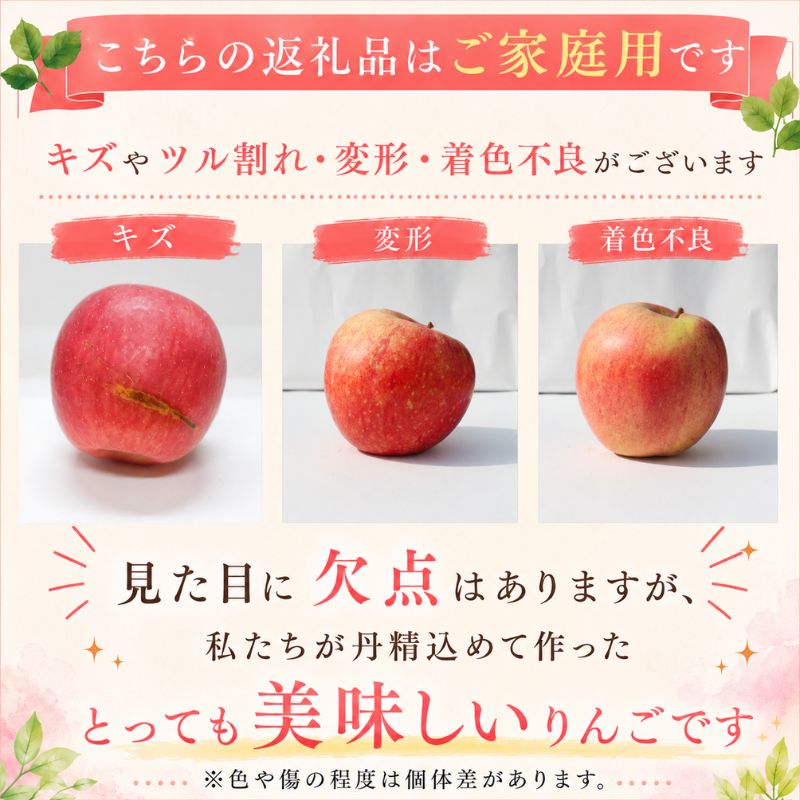 【期間限定】 りんご はるか 5kg 12月上旬~発送 訳あり 先行予約 りんご リンゴ ringo はるか 林檎 わけあり 家庭用 産地直送 新鮮 アップル くだもの 果物 fujimura008