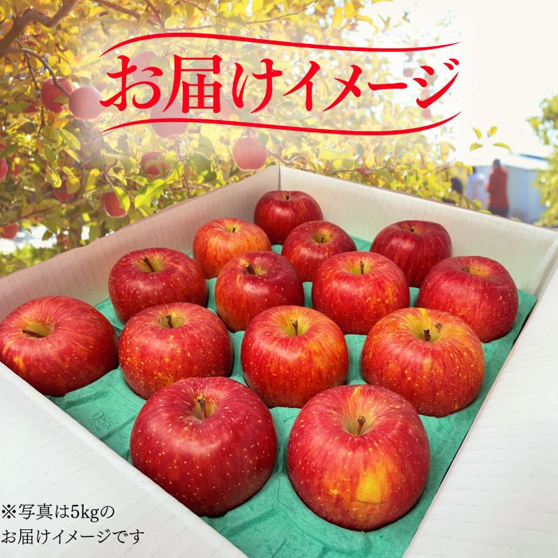 【12月上旬~発送】 りんご サンふじ 5kg 先行予約 訳あり 家庭用 りんご 果物 くだもの フルーツ 林檎 リンゴ サンふじ サンフジ 産地直送 新鮮 旬 国産 冬 fujimura005