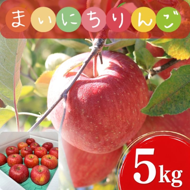 【12月上旬~発送】 りんご サンふじ 5kg 先行予約 訳あり 家庭用 りんご 果物 くだもの フルーツ 林檎 リンゴ サンふじ サンフジ 産地直送 新鮮 旬 国産 冬 fujimura005