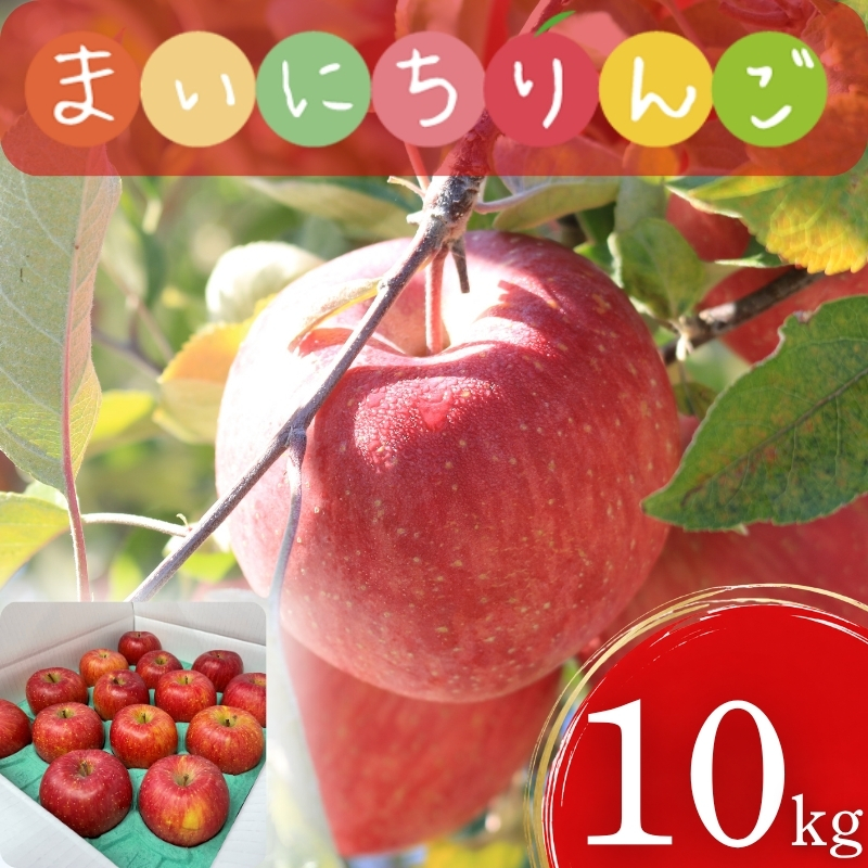 【12月上旬~発送】 訳あり りんご サンふじ 10kg 先行予約 りんご 果物 くだもの フルーツ 林檎 リンゴ サンふじ サンフジ 産地直送 新鮮 旬 国産 冬 訳アリ fujimura006