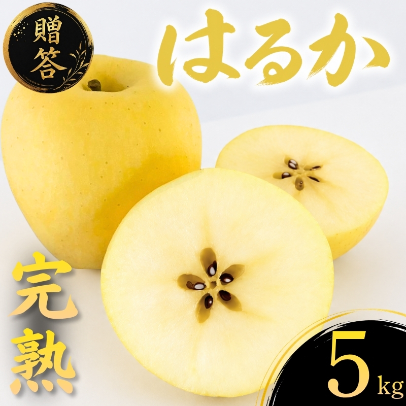 【12月上旬~発送】 贈答用 りんご はるか 5kg 先行予約 りんご リンゴ ringo りんご 林檎 産地直送 新鮮 アップル くだもの 果物 フルーツ ハルカ りんご 旬 fujimura010