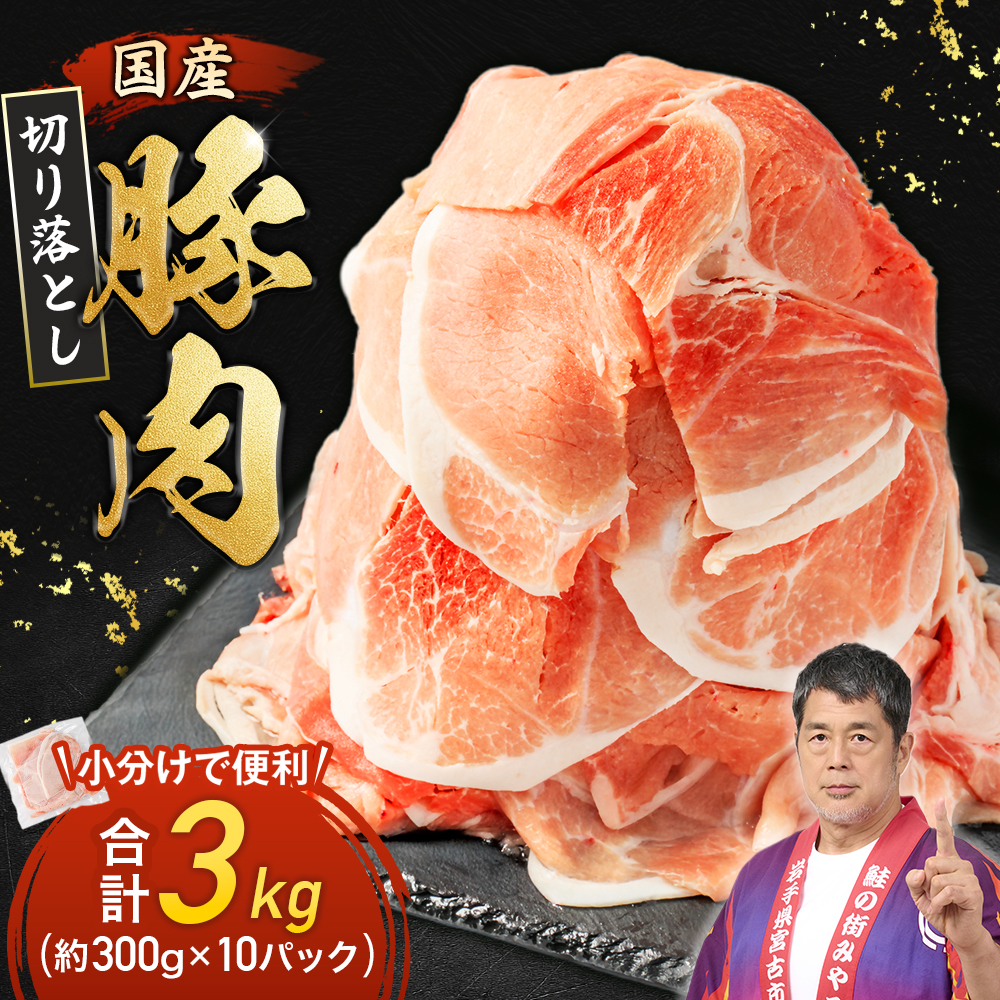 国産 豚肉 計3kg! (300g×10P) 豚 切り落とし 小分けで便利 豚肉 肉 国産 スライス 小分け 切り落し 冷凍 家庭用 人気 おすすめ 送料無料 便利【1658904】
