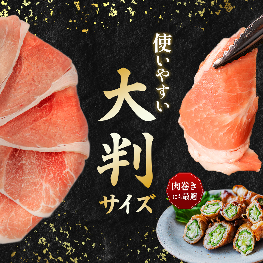 国産 豚肉 計3kg! (300g×10P) 豚 切り落とし 小分けで便利 豚肉 肉 国産 スライス 小分け 切り落し 冷凍 家庭用 人気 おすすめ 送料無料 便利【1658904】