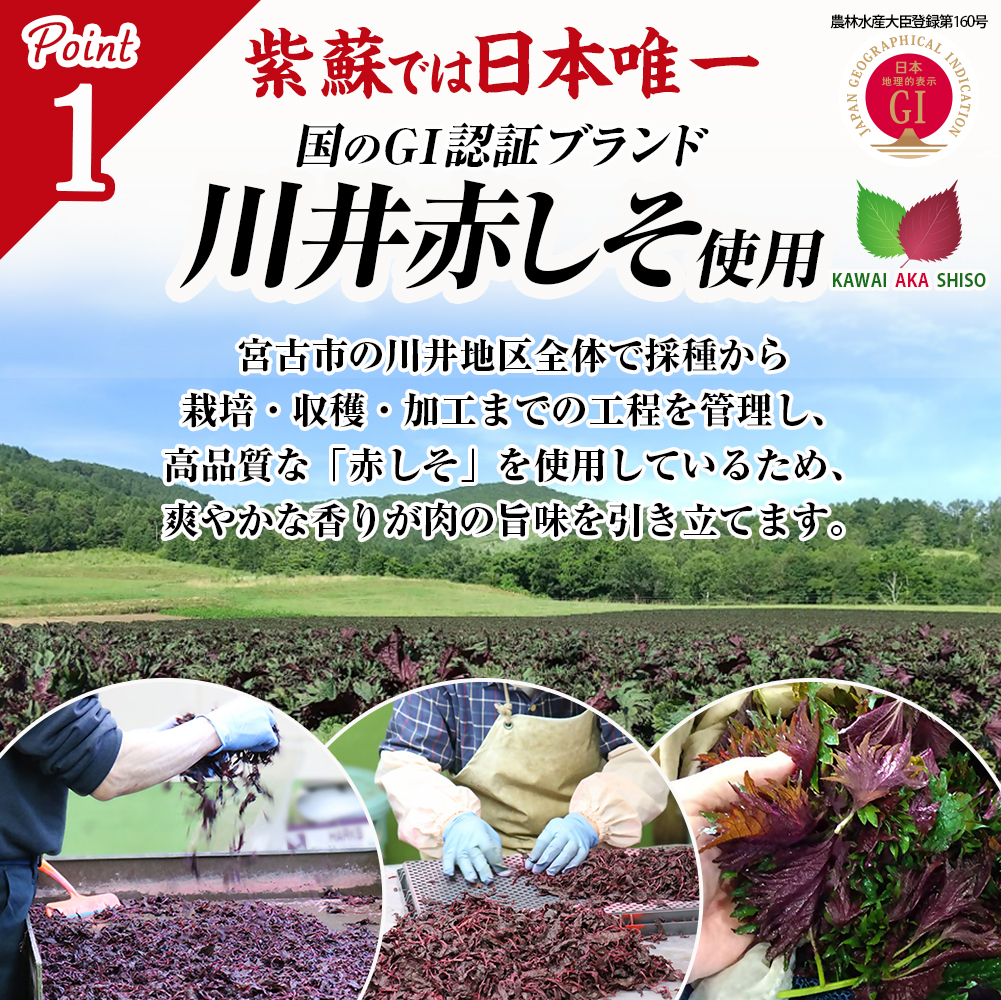 【訳あり】赤しそハンバーグ　冷凍のままフライパンで10分! 選べる容量 600g/1.2kg/2.4kg 【G1760047】