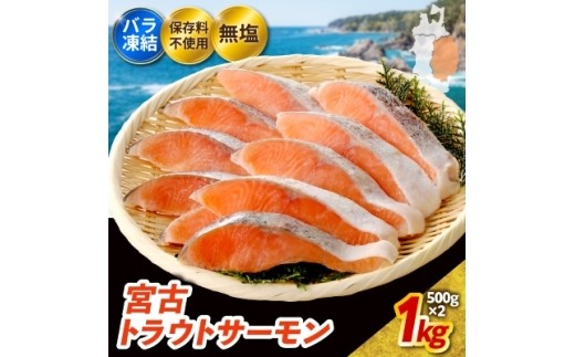 無塩 トラウトサーモン切身1kg入り(腹骨取り)_トラウトサーモン サーモン 切り身 1kg 魚 海産物 無塩 おかず おつまみ 酒の肴 朝食 ごはんのお供 真空包装 岩手県 宮古市 【1632507】