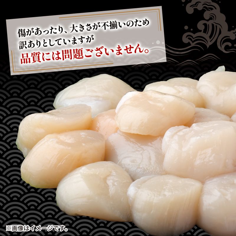 訳あり ホタテ 500g 冷凍 帆立 貝柱 ほたて 刺身 おさしみ 刺し身 鍋 お鍋 バーベキュー BBQ 炙り 炙り焼き バター焼き 出汁 夕飯 おかず おつまみ 晩酌 海産物 海鮮 魚介 魚介類 大船渡 三陸 岩手県 国産