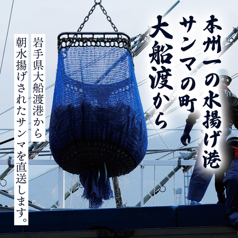 【 2026 先行予約 】訳あり 鮮さんま 2kg 20~25本 大船渡産 岩手 さかな おさかな 魚 鮮魚 新鮮 生魚 焼き魚 FISH ごはん 夕飯 おかず おつまみ 晩酌 米 丼 海産物 海鮮 魚介 魚介類 大船渡 三陸 岩手県 国産