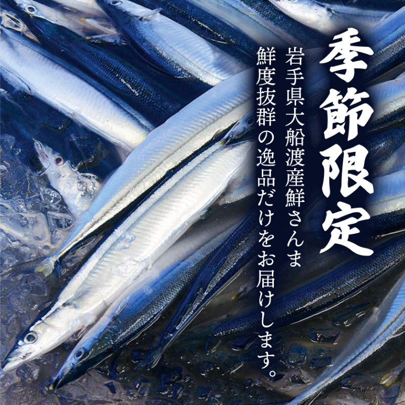 【 2026 先行予約 】訳あり 鮮さんま 2kg 20~25本 大船渡産 岩手 さかな おさかな 魚 鮮魚 新鮮 生魚 焼き魚 FISH ごはん 夕飯 おかず おつまみ 晩酌 米 丼 海産物 海鮮 魚介 魚介類 大船渡 三陸 岩手県 国産
