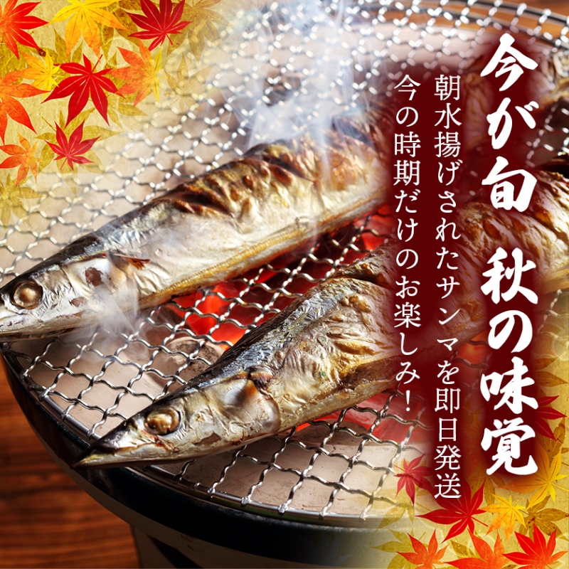 【 2026 先行予約 】訳あり 鮮さんま 2kg 20~25本 大船渡産 岩手 さかな おさかな 魚 鮮魚 新鮮 生魚 焼き魚 FISH ごはん 夕飯 おかず おつまみ 晩酌 米 丼 海産物 海鮮 魚介 魚介類 大船渡 三陸 岩手県 国産