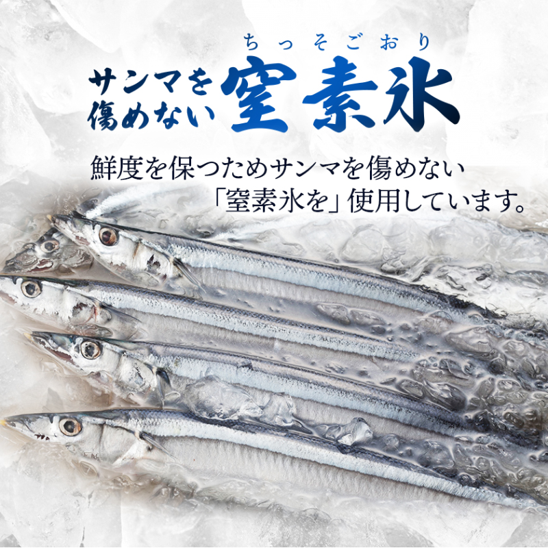 【 2026 先行予約 】訳あり 鮮さんま 2kg 20~25本 大船渡産 岩手 さかな おさかな 魚 鮮魚 新鮮 生魚 焼き魚 FISH ごはん 夕飯 おかず おつまみ 晩酌 米 丼 海産物 海鮮 魚介 魚介類 大船渡 三陸 岩手県 国産