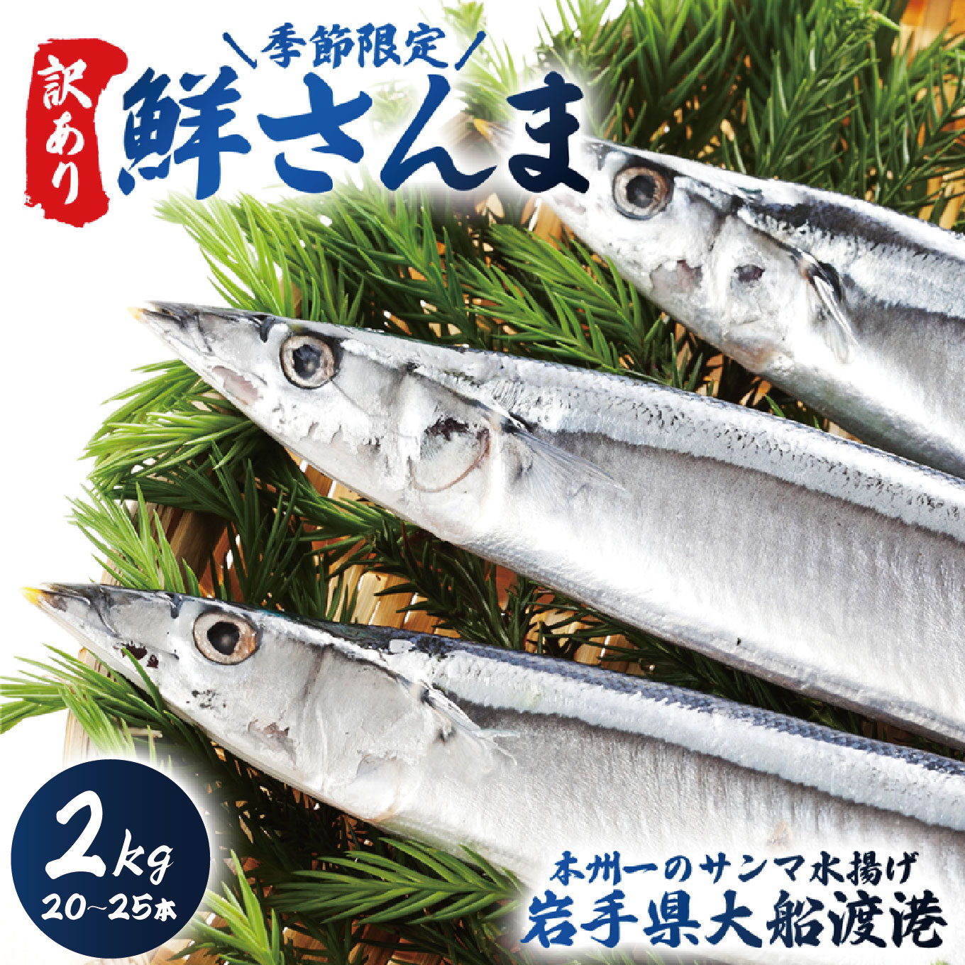 【 2026 先行予約 】訳あり 鮮さんま 2kg 20~25本 大船渡産 岩手 さかな おさかな 魚 鮮魚 新鮮 生魚 焼き魚 FISH ごはん 夕飯 おかず おつまみ 晩酌 米 丼 海産物 海鮮 魚介 魚介類 大船渡 三陸 岩手県 国産