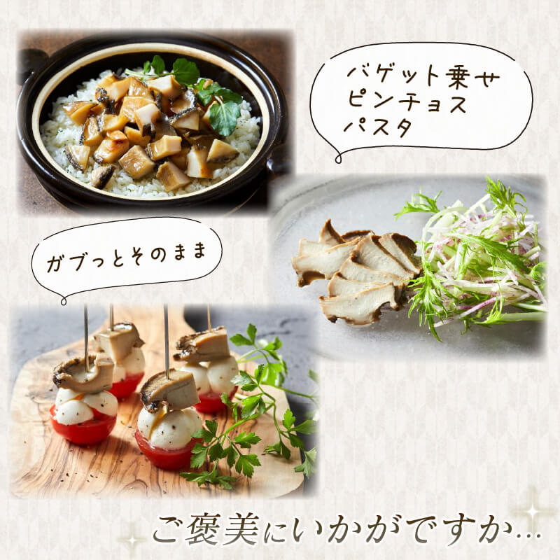訳あり 箱入りあわび 4個セット メキシカンチリスープ風 缶詰 鮑 アワビ 翡翠鮑 箱入り 国産 海鮮 養殖 缶詰 保存 保存食 防災 非常 非常食 常温 常温保存 長期保存 簡単 お手軽 惣菜