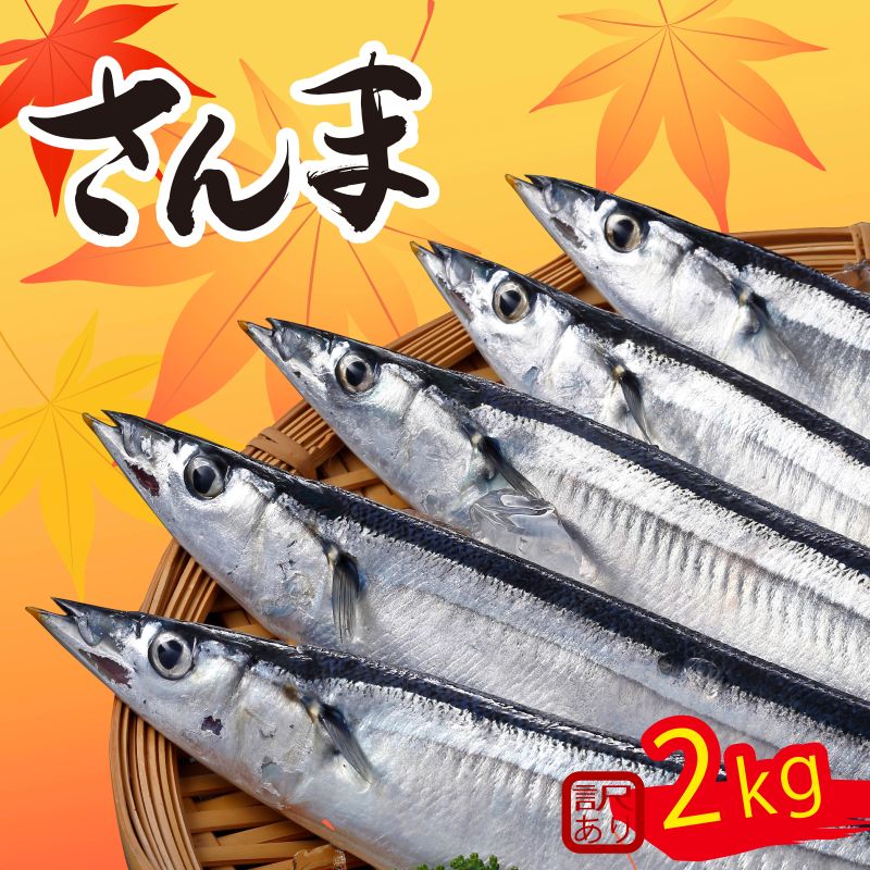 おすすめ返礼品