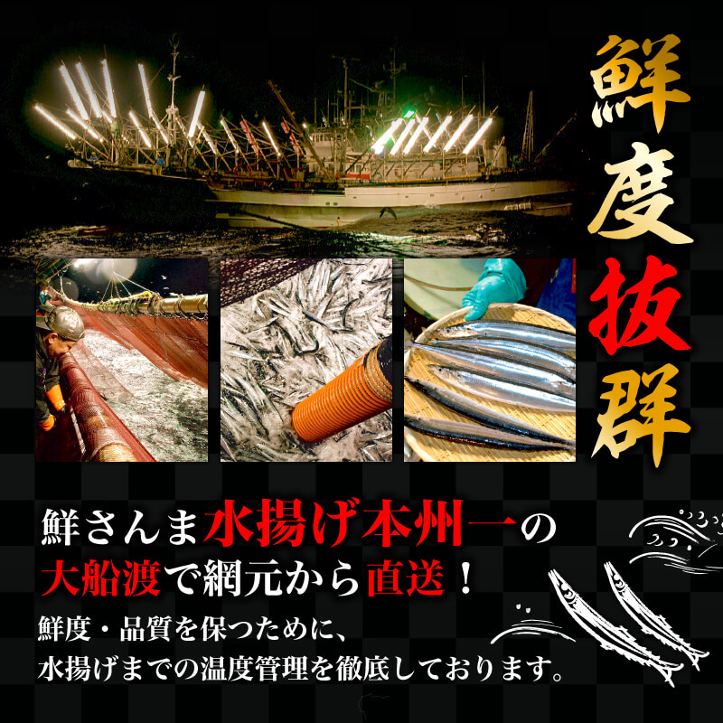 訳ありさんま2kg [2026年9月～発送予定] 秋刀魚 さんま サンマ Sashimi FISH 魚 新鮮 ごはん 夕飯 おかず おつまみ 晩酌 米 丼 海産物 海鮮 魚介 魚介類