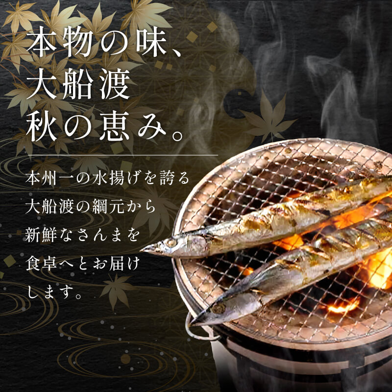 訳ありさんま2kg [2026年9月～発送予定] 秋刀魚 さんま サンマ Sashimi FISH 魚 新鮮 ごはん 夕飯 おかず おつまみ 晩酌 米 丼 海産物 海鮮 魚介 魚介類