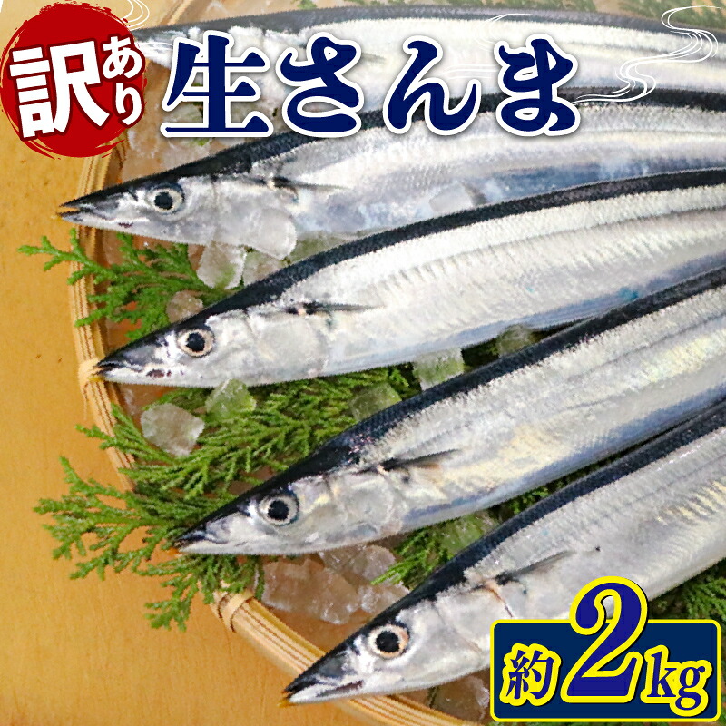 訳あり 生さんま 約2kg 冷蔵 サンマ 秋刀魚 さんま 旬 海鮮 魚貝類 魚介類 産地直送 期間限定 季節限定 予約 旬の鮮魚 旬 秋の味覚 新鮮さんま 鮮魚 魚 応援 三陸 大船渡市