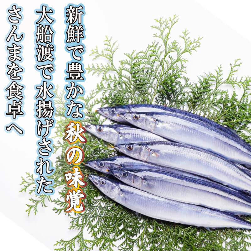訳あり 生さんま 約2kg 冷蔵 サンマ 秋刀魚 さんま 旬 海鮮 魚貝類 魚介類 産地直送 期間限定 季節限定 予約 旬の鮮魚 旬 秋の味覚 新鮮さんま 鮮魚 魚 応援 三陸 大船渡市