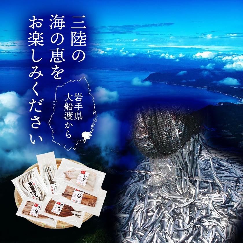 国産 干物セット 6種 約1kg 冷凍 鯖 さば サバ さんま 秋刀魚 サンマ イカ いか いわし 鰯 イワシ ギフト お歳暮 お中元 海の幸 海鮮 干物 真空パック 大船渡市 岩手県