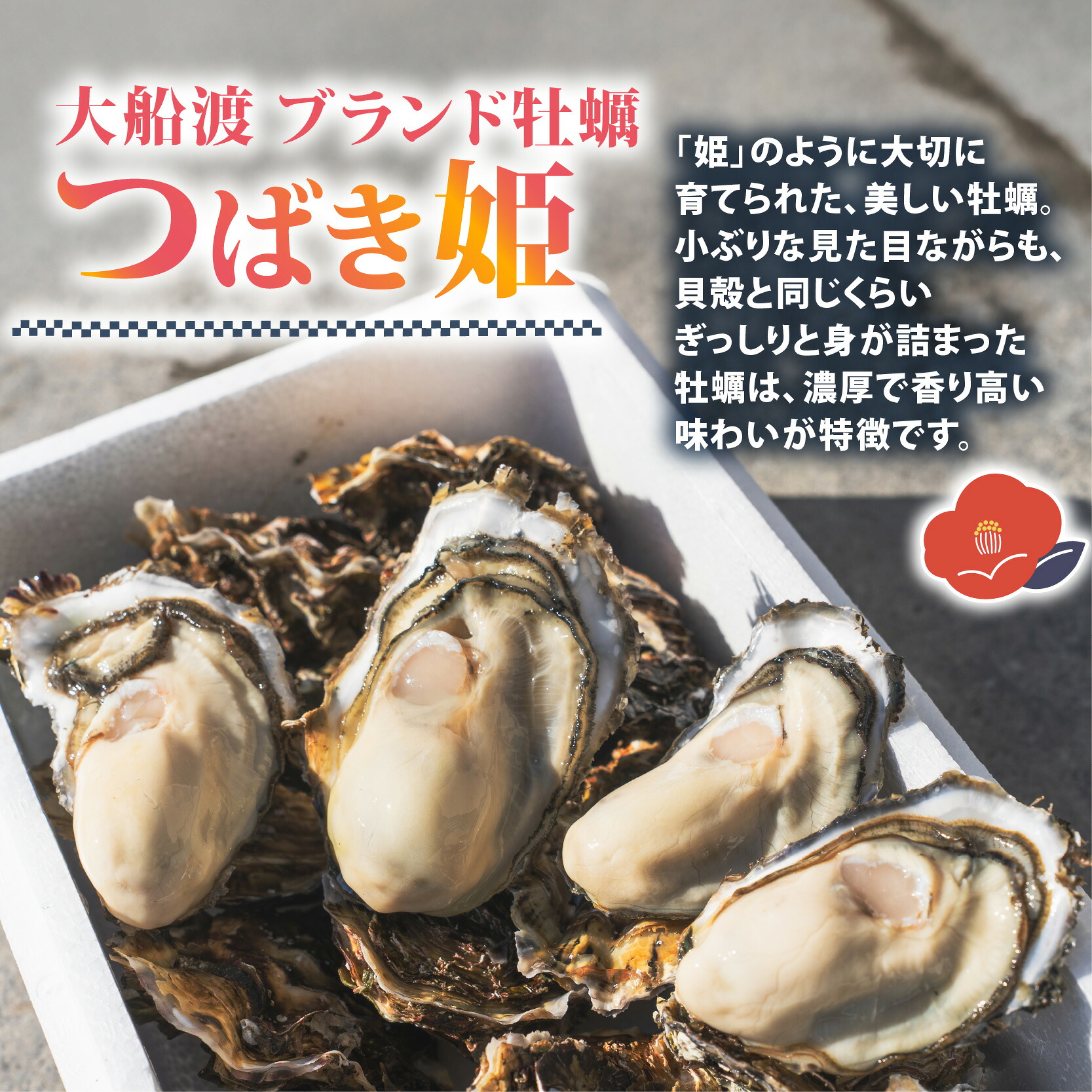 牡蠣 つばき姫 三陸 ブランド牡蠣 2kg/5kg [12月～7月発送] 耳吊り BBQ 殻付き牡蠣 冷蔵 生食可 生牡蠣 生かき かき カキ バーベキュー BBQ  生食 生食用 冷蔵牡蠣