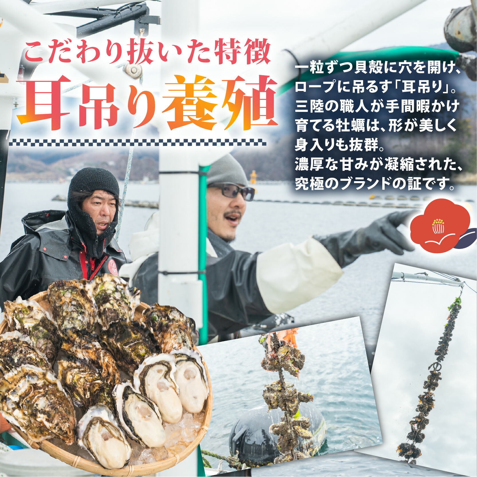 牡蠣 つばき姫 三陸 ブランド牡蠣 2kg/5kg [12月～7月発送] 耳吊り BBQ 殻付き牡蠣 冷蔵 生食可 生牡蠣 生かき かき カキ バーベキュー BBQ  生食 生食用 冷蔵牡蠣