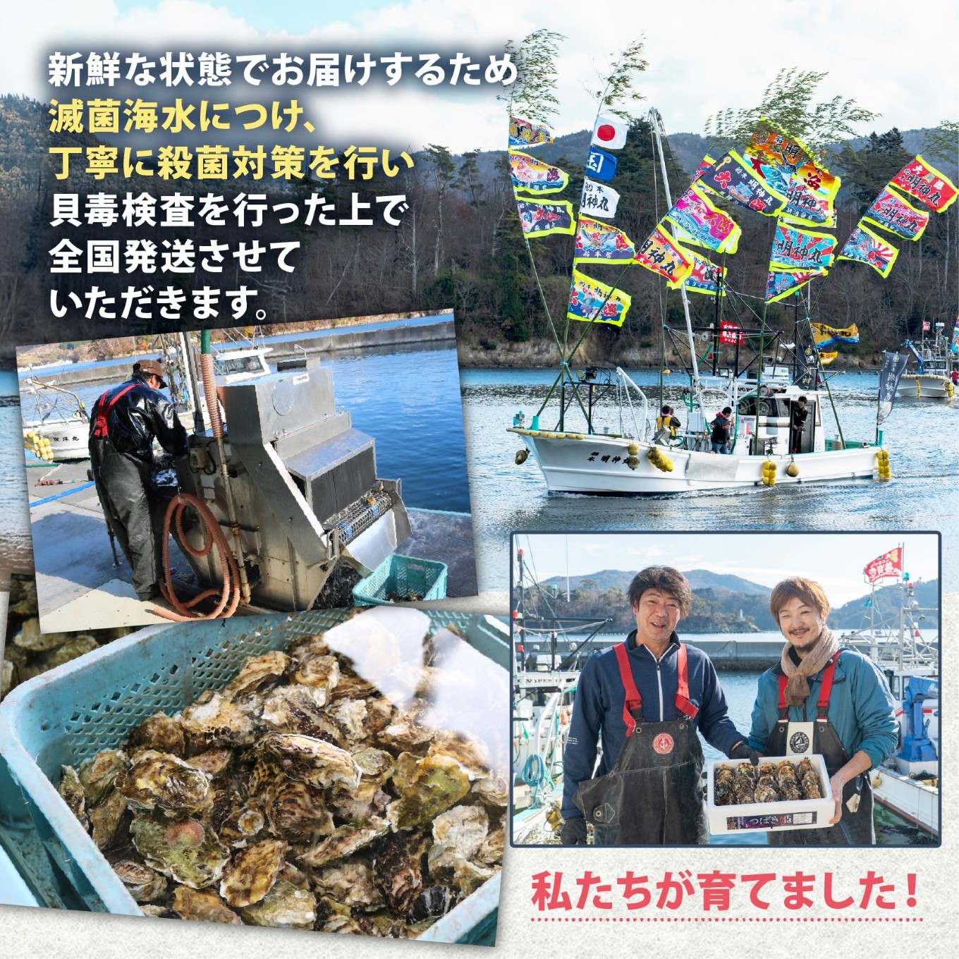 牡蠣 つばき姫 三陸 ブランド牡蠣 2kg/5kg [12月～7月発送] 耳吊り BBQ 殻付き牡蠣 冷蔵 生食可 生牡蠣 生かき かき カキ バーベキュー BBQ  生食 生食用 冷蔵牡蠣