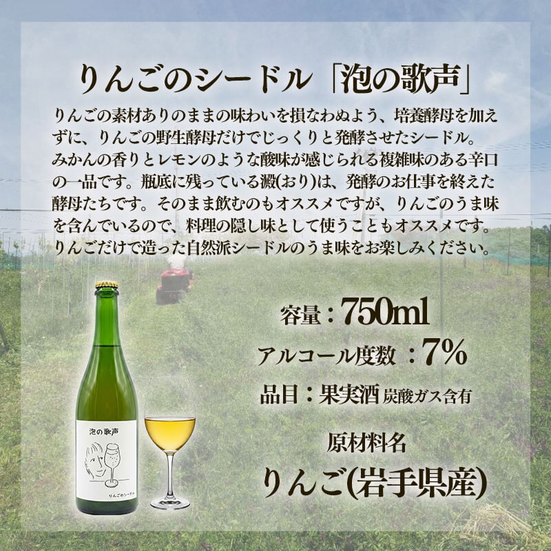 【14日以内発送】 りんごのシードル 「泡の歌声」 750ml×1本 りんご リンゴ 林檎 酒 果実酒 アルコール お酒 果物 くだもの 晩酌 スパークリングワイン 米崎りんご 自然 シードル 飲料