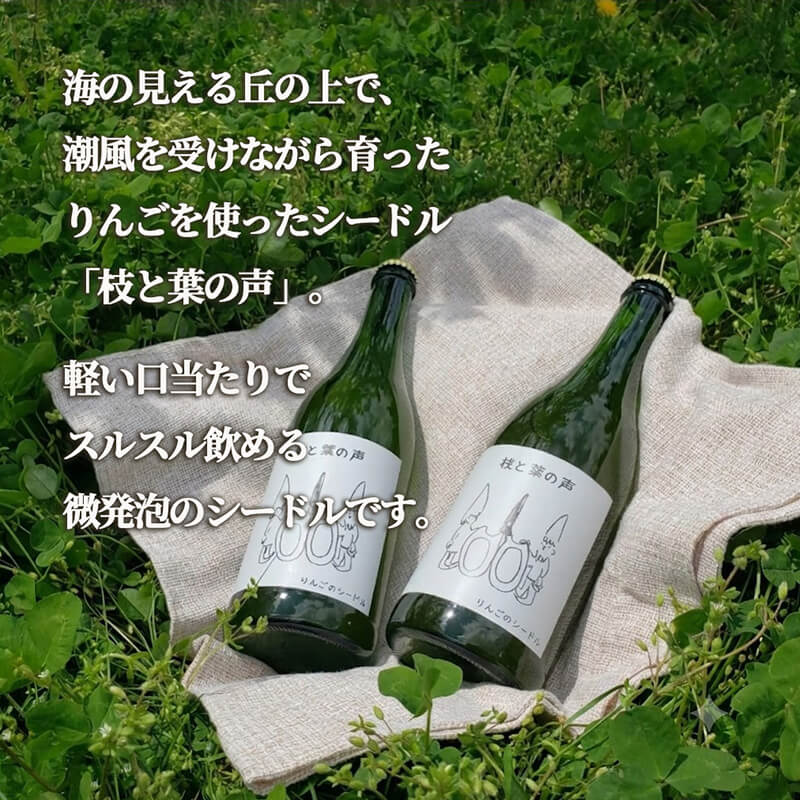 【14日以内発送】 りんごのシードル 枝と葉の声 375ml×2本 りんご リンゴ 林檎 酒 果実酒 アルコール お酒 果物 くだもの 晩酌 スパークリングワイン 米崎りんご 自然 シードル 飲料 飲