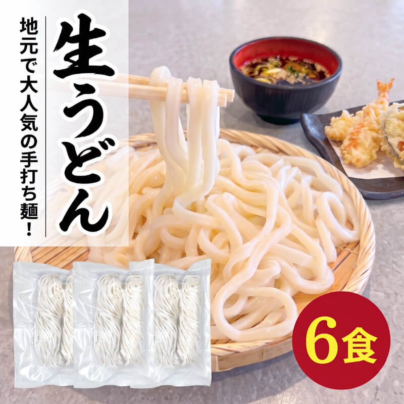 手打ちうどん 6食(2食×3袋) うどん 麺 麺類 めん 冷凍 手打ち麺 職人 小分け ウドン 簡単 簡単調理 生麺 なま麺 小麦 小麦粉 製麺 もちもち つるつる 三陸 岩手県 大船渡市