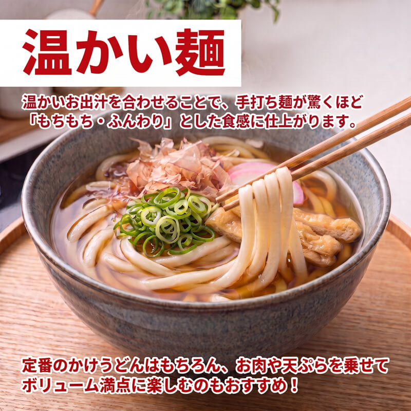手打ちうどん 6食(2食×3袋) うどん 麺 麺類 めん 冷凍 手打ち麺 職人 小分け ウドン 簡単 簡単調理 生麺 なま麺 小麦 小麦粉 製麺 もちもち つるつる 三陸 岩手県 大船渡市
