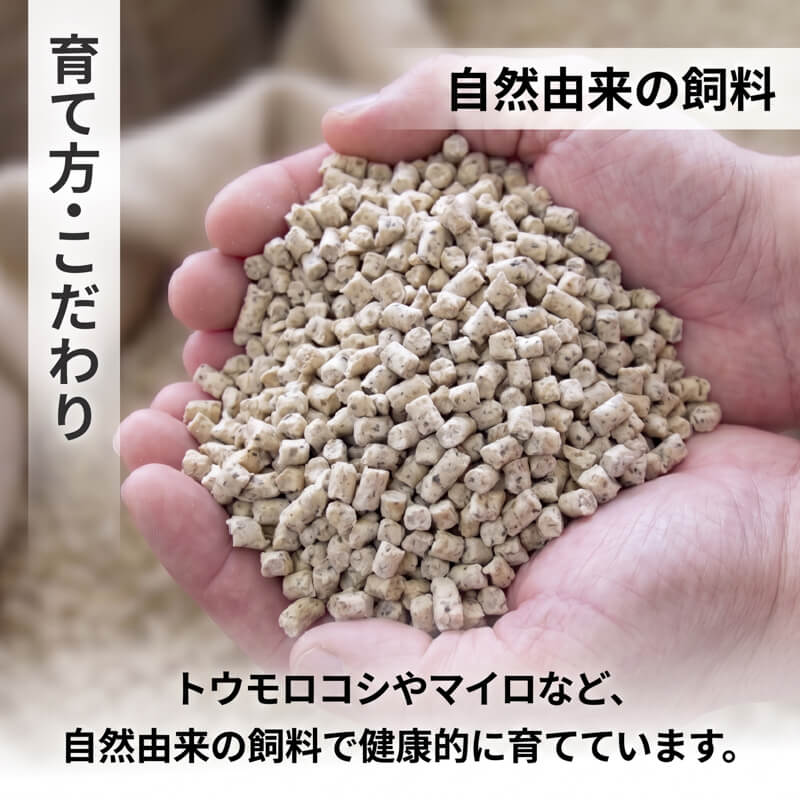 たのはた鴨 ロース スライス 400g(100g×4P) 鴨 冷凍 小分け 個包装 簡単 簡単調理 おかず 真空 あお鴨 にく 鴨肉 かも カモ 肉 タンパク質 ダイエット 岩手 大船渡