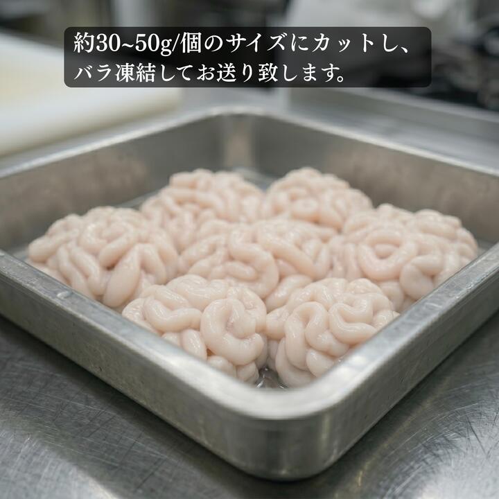 真タラ 白子 1kg (500g×2) しらこ 冷凍 生 カット済み 真たら バラ 鱈 真たら 海鮮 大船渡 冷凍 カット済み 魚介 海産物 三陸産 岩手 大船渡